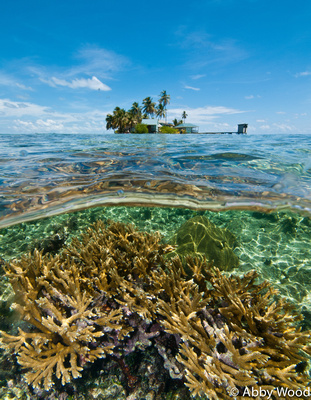 p1132681954-2.jpg