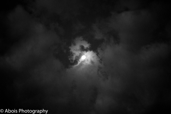 Dragon Moon Over Texas